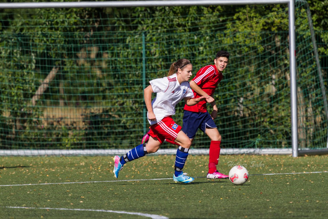 Bild 189 - Frauen HSV - cJun Eintracht Norderstedt : Ergebnis: 1:16